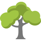 Fort Wayne Tree Removal Service