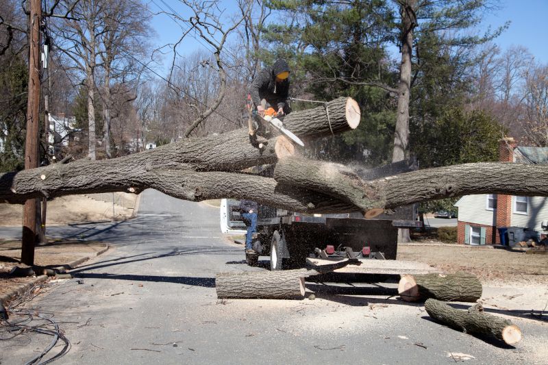 Emergency Tree Service Equipment